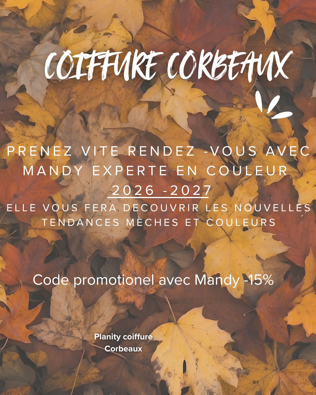 En Novembre On fête le stage de couleur de Mandy -15% sur le forfait coloration avec Mandy