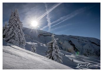 L'ART DES CHOIX - Cadeaux / souvenirs à Samoëns
